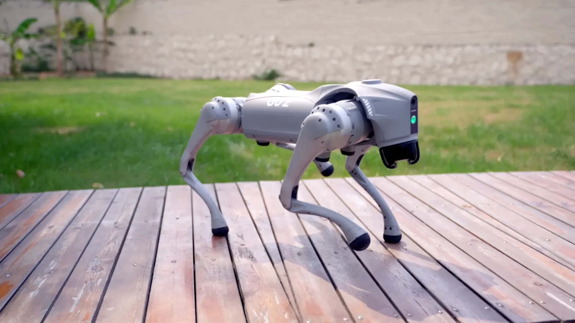 Quadruped robot on the ground